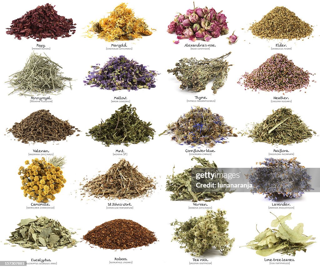 Dry flowers and herbs.XXXL.