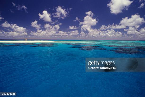 große blaue lagune - coral sea stock-fotos und bilder