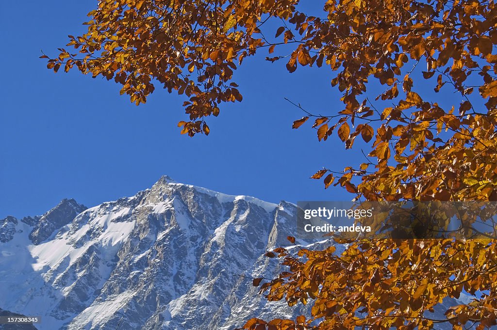 Monte Rosa in Autumn, leaves frame