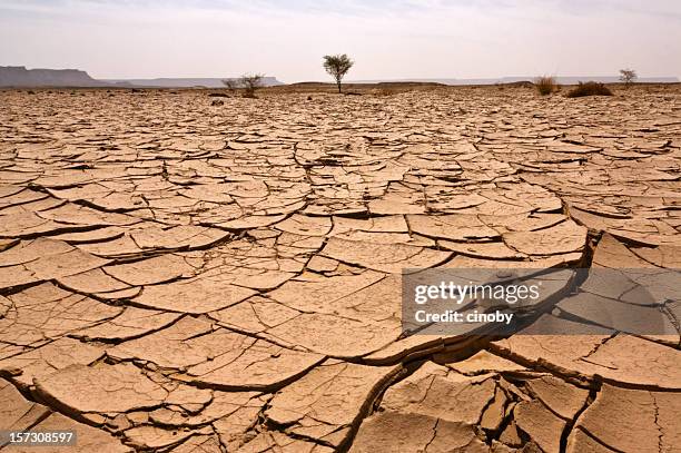 libyan - north africa landscape stock pictures, royalty-free photos & images