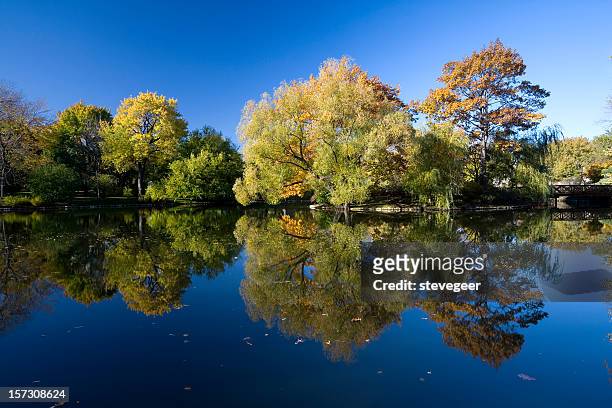秋の反射で中西部湖 - memphis - tennessee ストックフォトと画像