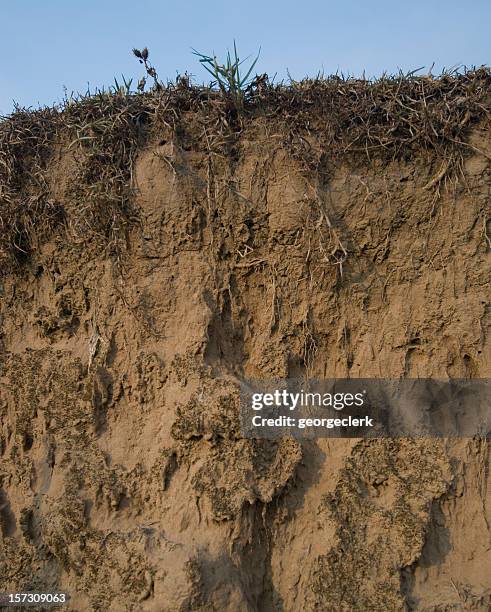 sandy secção transversal - rock strata imagens e fotografias de stock