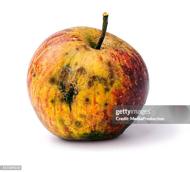 pomme empoisonnée - pourrir photos et images de collection