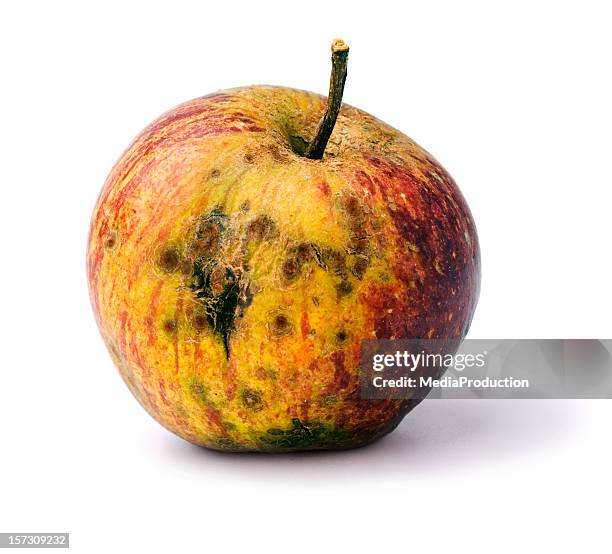 bad apple - beaten up stock pictures, royalty-free photos & images