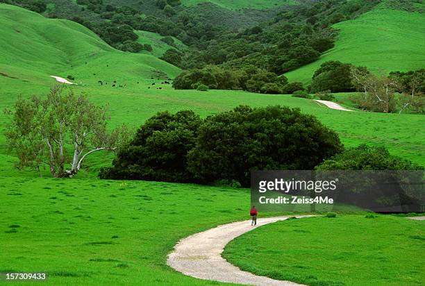 spring time hike through the lush green hills - fremont california 個照片及圖片檔