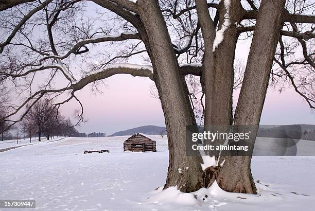 baum und kabine in der dämmerung - american troops at valley forge stock-fotos und bilder