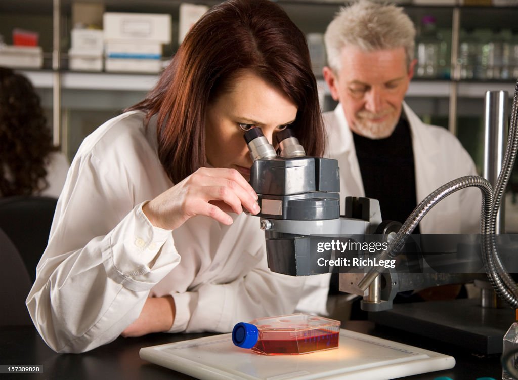 Woman Worker in a Laboratory