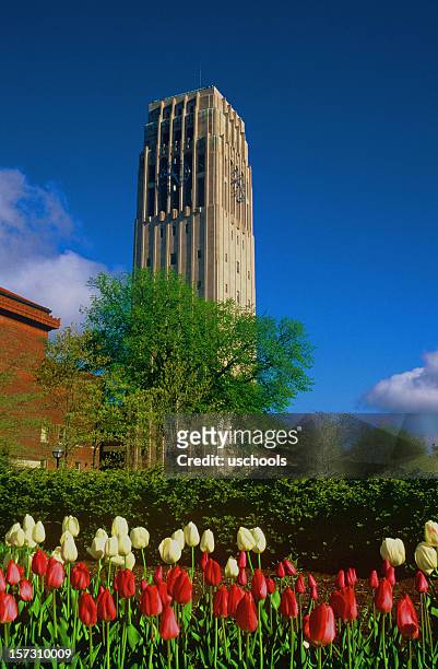 burton tower, university of michigan, ann arbor - ann arbor mi stock pictures, royalty-free photos & images