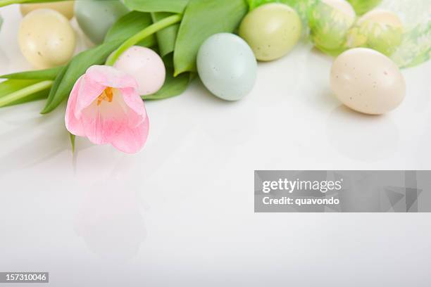 border of easter eggs and tulips on white, copy space - easter egg white background stock pictures, royalty-free photos & images