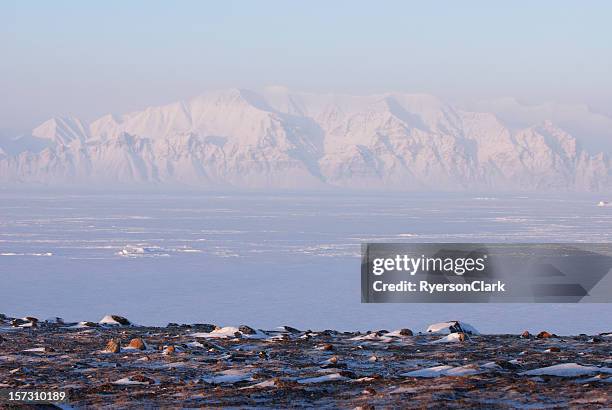 bylot isola dall'isola di baffin. - nunavut foto e immagini stock