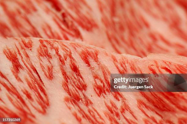 carne de res kobe - carne de vaca wagyu fotografías e imágenes de stock