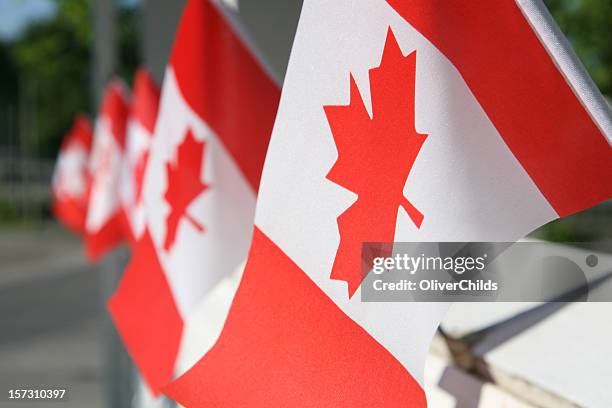 canada day flags - canadians celebrate national day of independence stock pictures, royalty-free photos & images