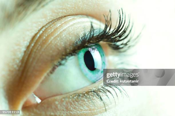 High Resolution Lashes Amazing Lashes Photos and Premium High Res Pictures - Getty Images