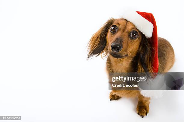 helper santas piccolo - cappello da babbo natale foto e immagini stock