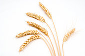 Six stems of wheat on a white background