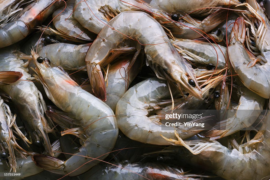 Toda camarões frescos frutos do mar crus em comida mercado Vitrine de varejo