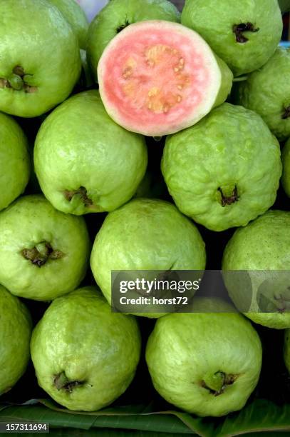 recién guavas - guayaba fotografías e imágenes de stock