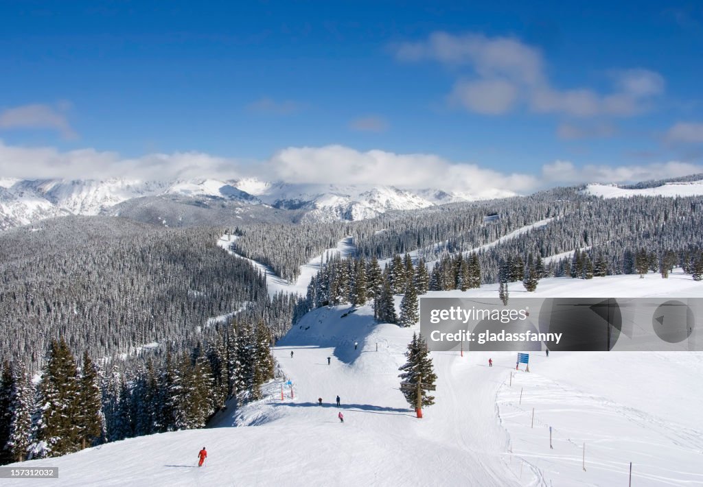 Skiers en vial