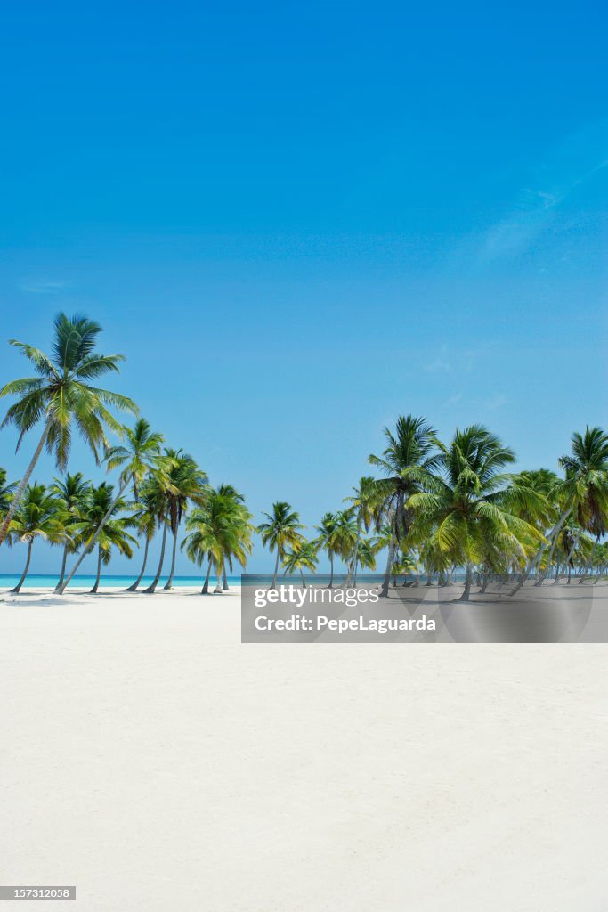 Paraíso ideal