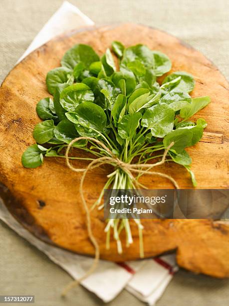 watercress from the garden. - watercress stock pictures, royalty-free photos & images