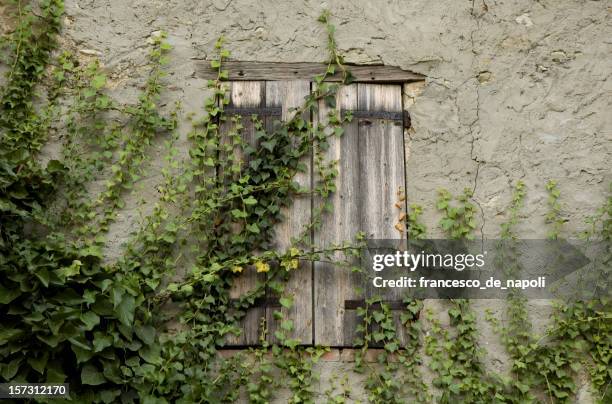 close window - guiglia stock pictures, royalty-free photos & images