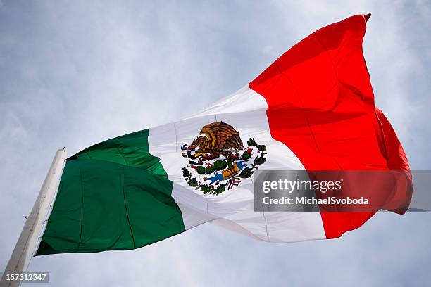 mexico flag - mexican flag 個照片及圖片檔