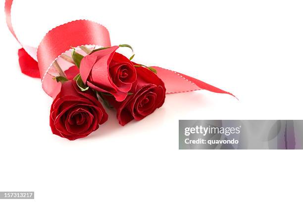 Fresh Roses With Ribbon Beautiful Red Roses And Ribbon On White Copy Space High-Res Stock Photo ...
