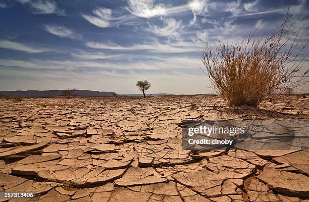 libia - agostamiento fotografías e imágenes de stock