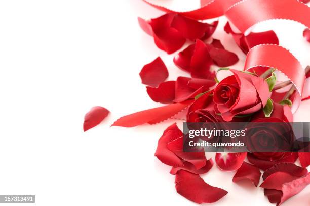 border of roses and ribbon with copy space, on white - red roses stock pictures, royalty-free photos & images