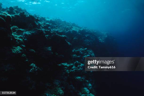 dead reef - carcass is stock pictures, royalty-free photos & images