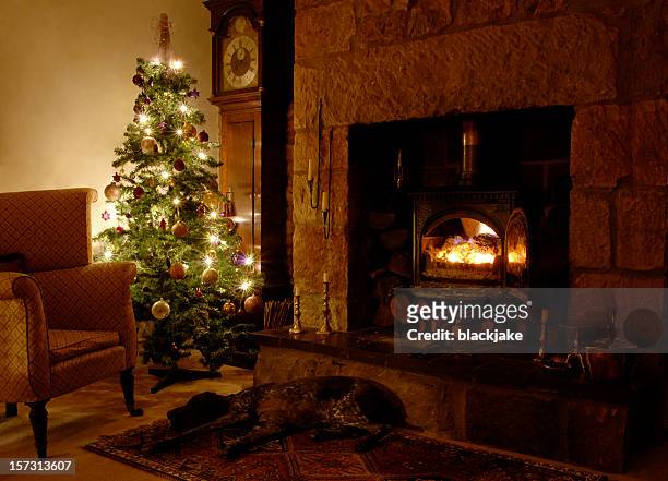 living room with christmas tree and fireplace - haardvuur stockfoto's en -beelden