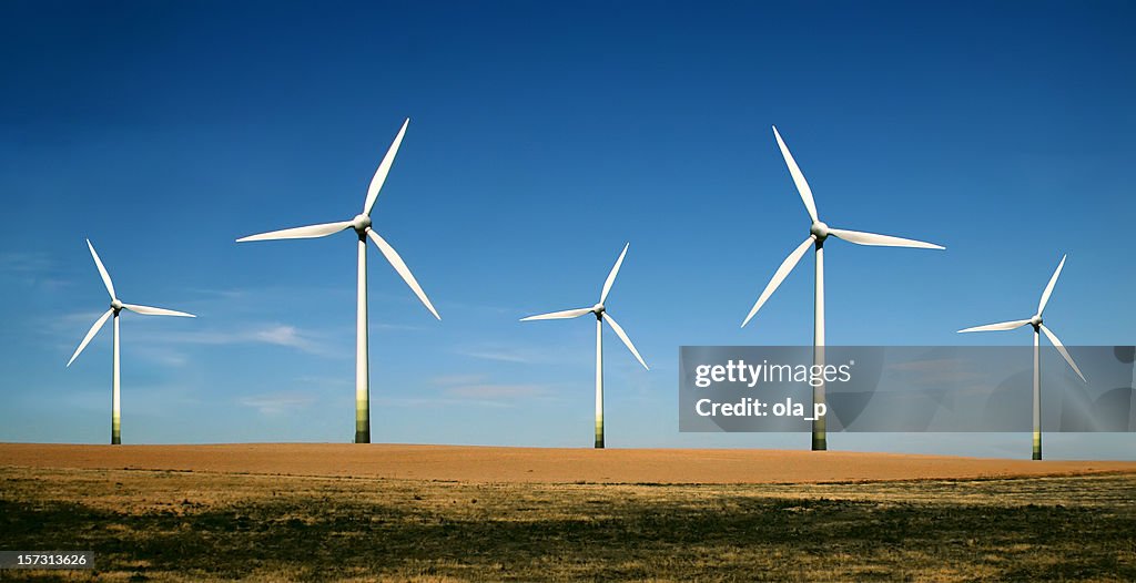 Wind turbine farm on a clear sunny day
