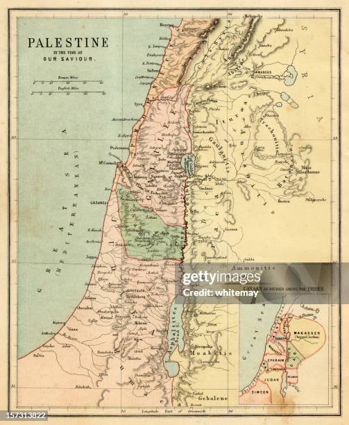 palestine in the time of our saviour - spotted lake stock pictures, royalty-free photos & images