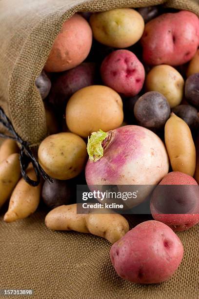 root vegetables - yukon gold stock pictures, royalty-free photos & images