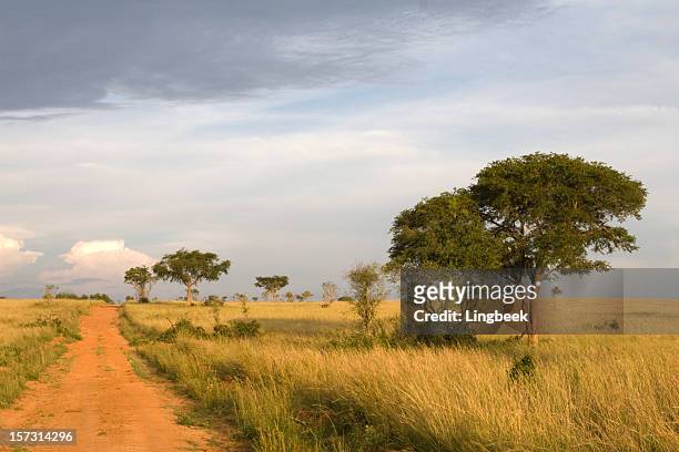 african landscape in uganda - uganda stock pictures, royalty-free photos & images