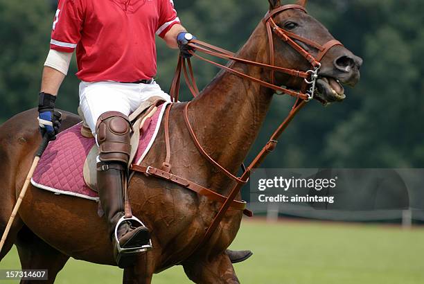 polo player on red - red polo stock pictures, royalty-free photos & images