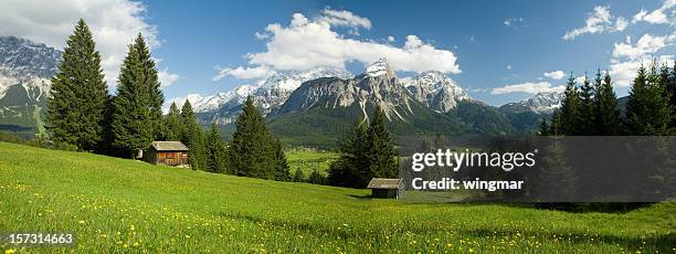 panorama de lermoos - état fédéré du tyrol photos et images de collection