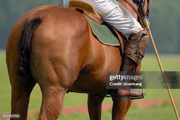 polo player riding on horse - polo horse stock pictures, royalty-free photos & images