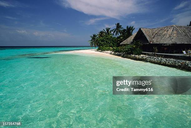 beach resort - fiji hut stock pictures, royalty-free photos & images