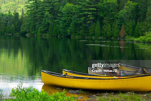 yellow canoes - yellow nature stock pictures, royalty-free photos & images