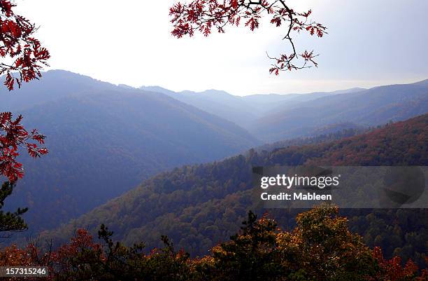 montañas blue ridge en virginia - skyline drive virginia fotografías e imágenes de stock