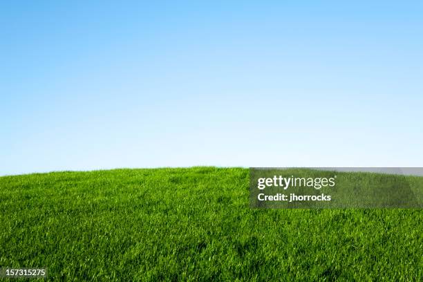 herbe verte et ciel bleu - hill photos et images de collection