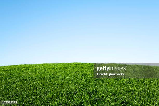 green grass and blue sky - hill stock pictures, royalty-free photos & images