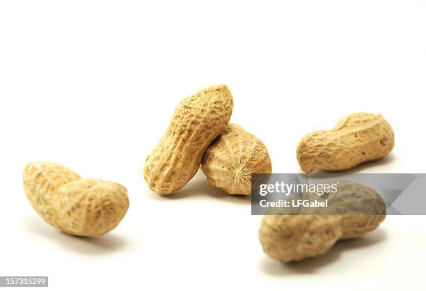 five peanuts in the shell - nutshell stock pictures, royalty-free photos & images