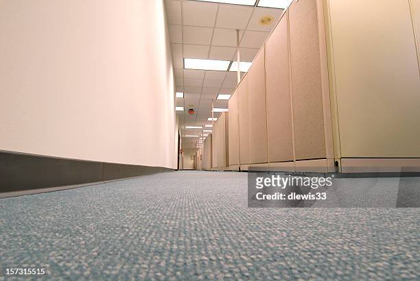 cubicle village - office carpet stockfoto's en -beelden