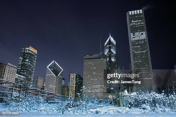 snowy garden against skyline - aon center chicago stock pictures, royalty-free photos & images