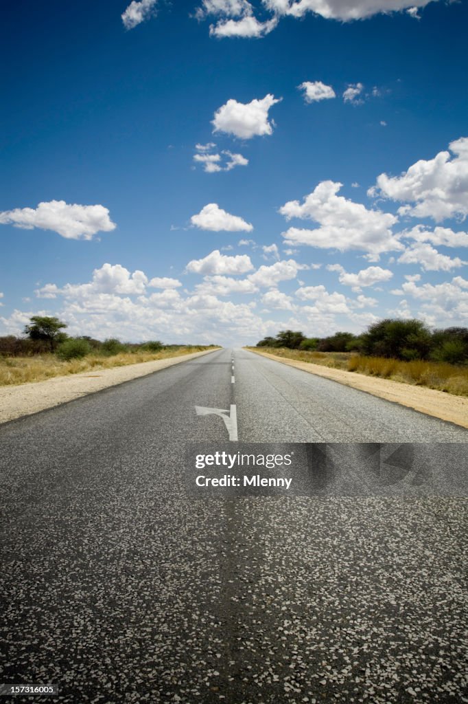 Namibia Highway - Turn Left