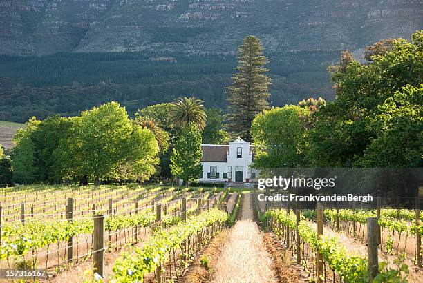 historical colonial building in the vineyards near capetown - western cape province stock pictures, royalty-free photos & images