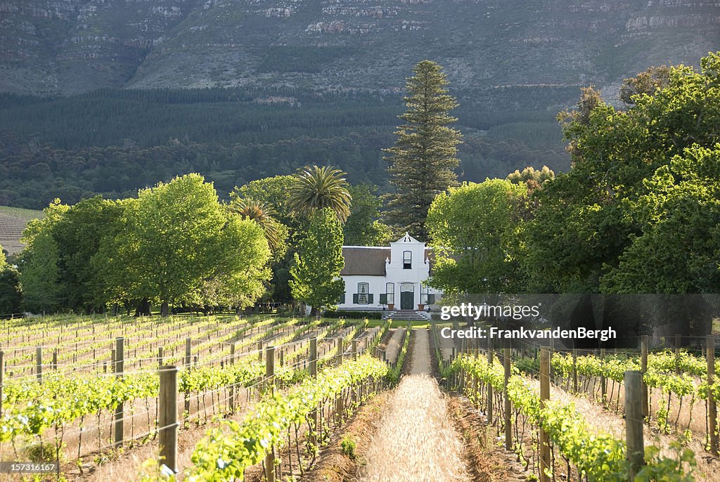 Histórico de edifício Colonial em vinhas perto Capetown