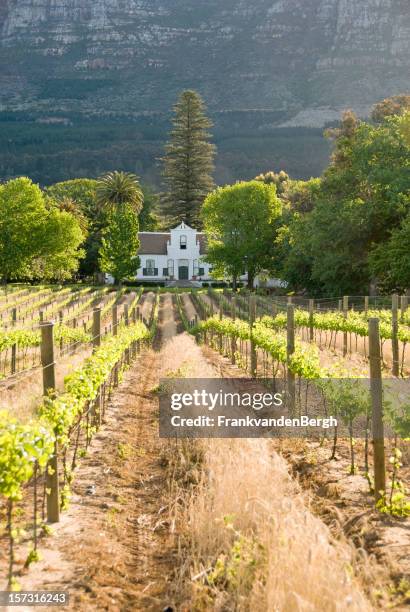 weinanbaugebiet winelands - franschhoek stock-fotos und bilder